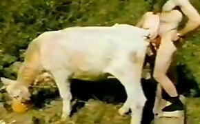 animal sex porn, videos with beastiality